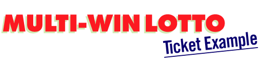 Multi-Win Lotto ticket example, top section.