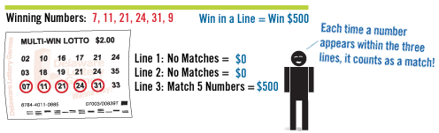 Multi-Win Lotto ticket example, play section one.