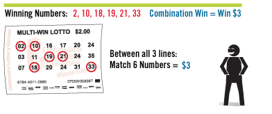 Multi-Win Lotto ticket example, play section two.