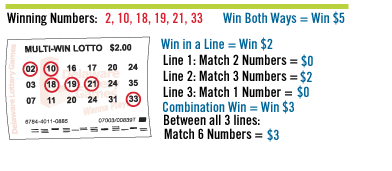 Multi-Win Lotto ticket example, play section three.