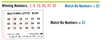 Multi-Win Lotto ticket example, play section four.