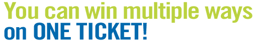 Multi-Win Lotto ticket example header.